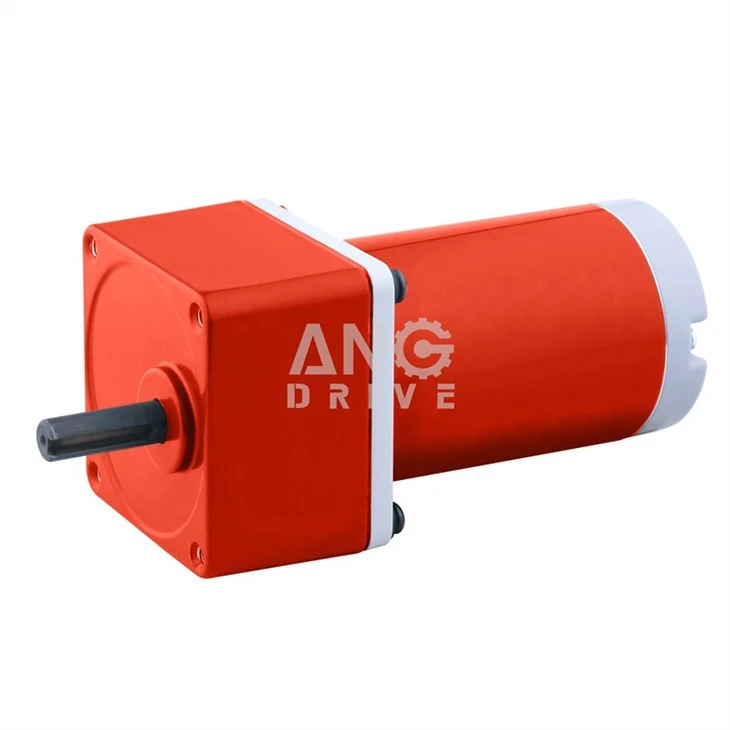 DC brushed gear motor