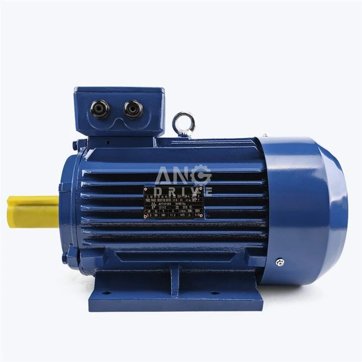 5.5KW Electric Motor