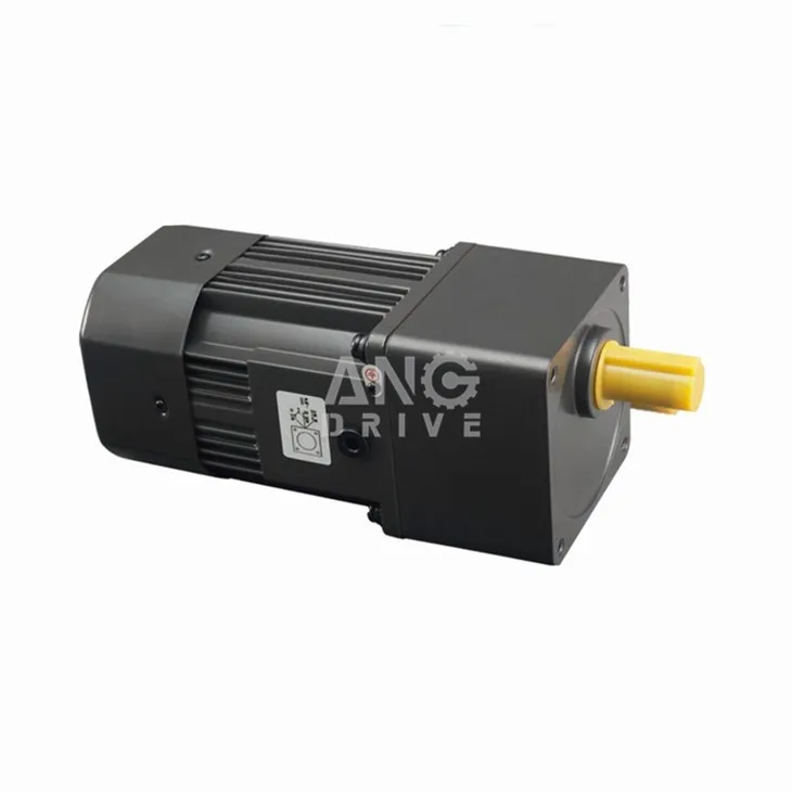 AC Reversible Gearmotor