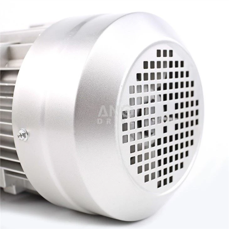 Three phase induction ac motor
