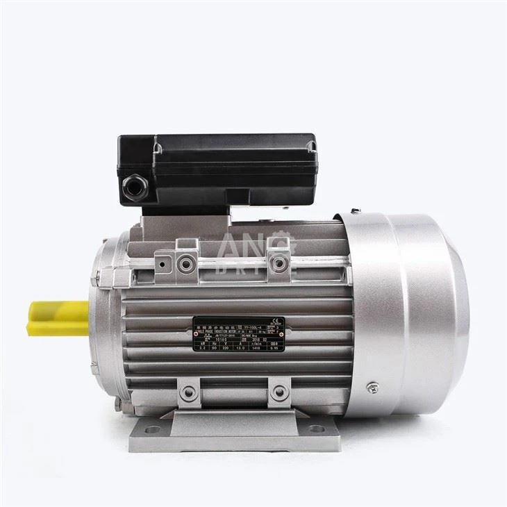 Biomass Bioler Motor