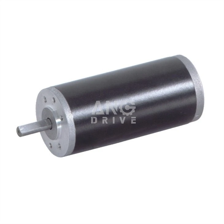 DC brush motor