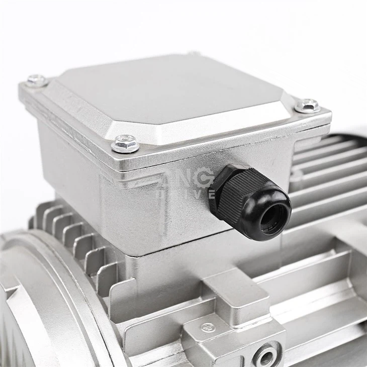 Three phase induction engine